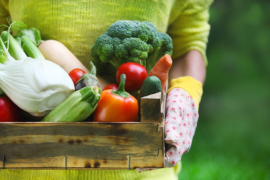 L'alimentation hypo-toxique ou bio-nutrition saine